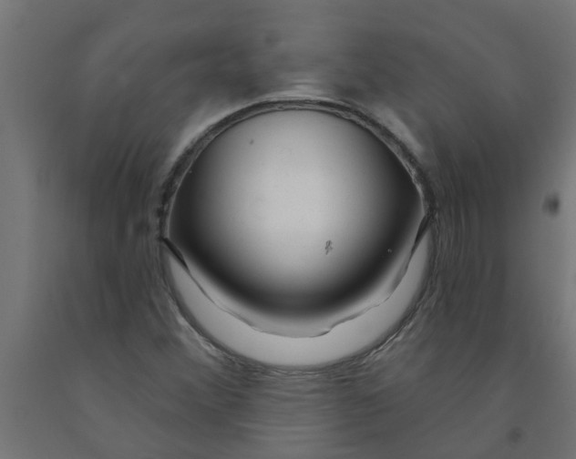 X0000090891356200708241953