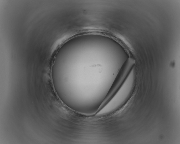 X0000090891357200708241953