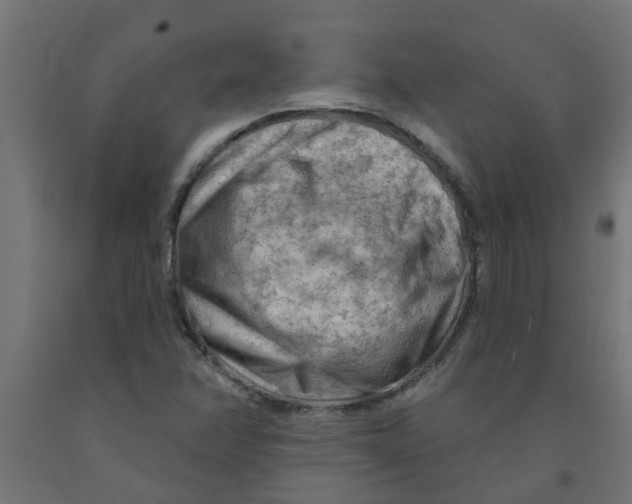 X0000090891358200708241953