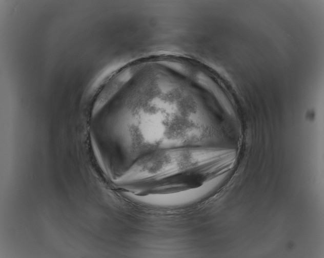 X0000090891359200708241953