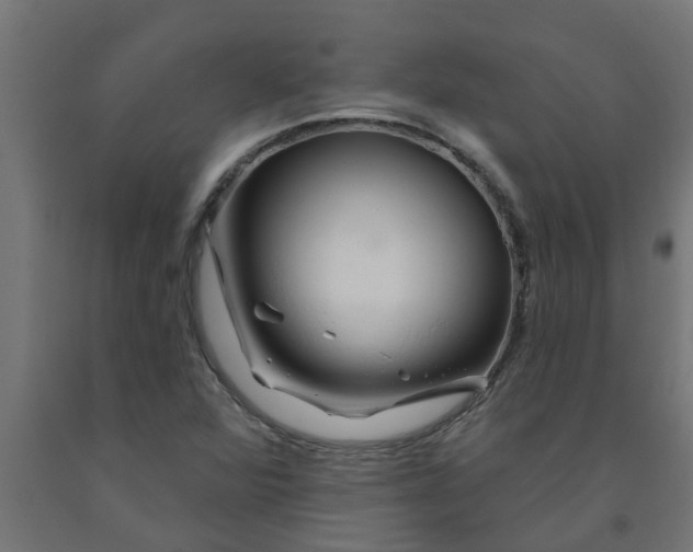 X0000090891360200708241953