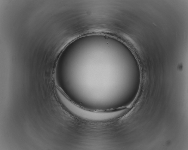 X0000090891361200708241953