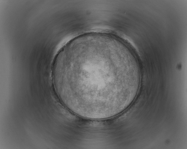 X0000090891362200708241953