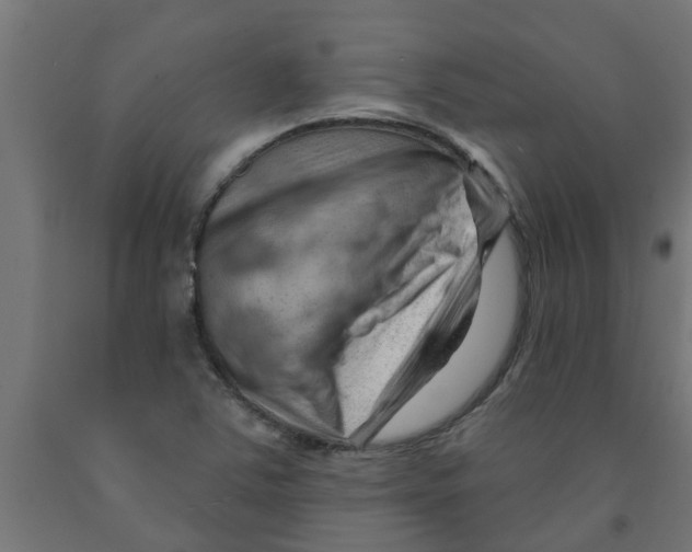 X0000090891363200708241953