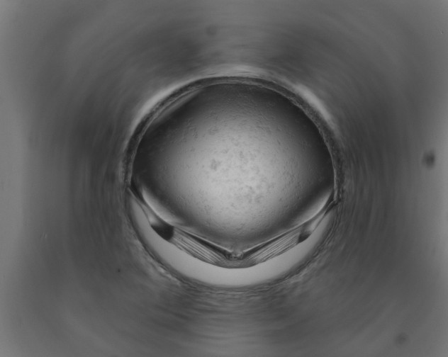 X0000090891364200708241953