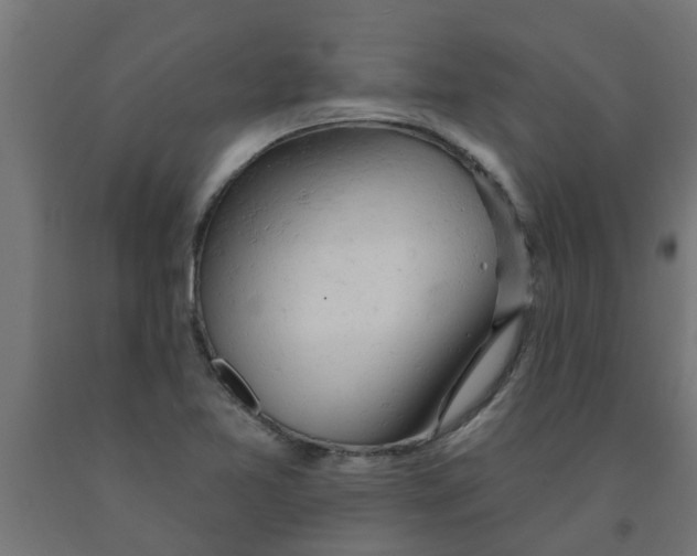 X0000090891365200708241953