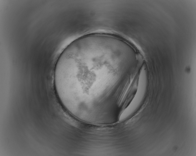 X0000090891367200708241953