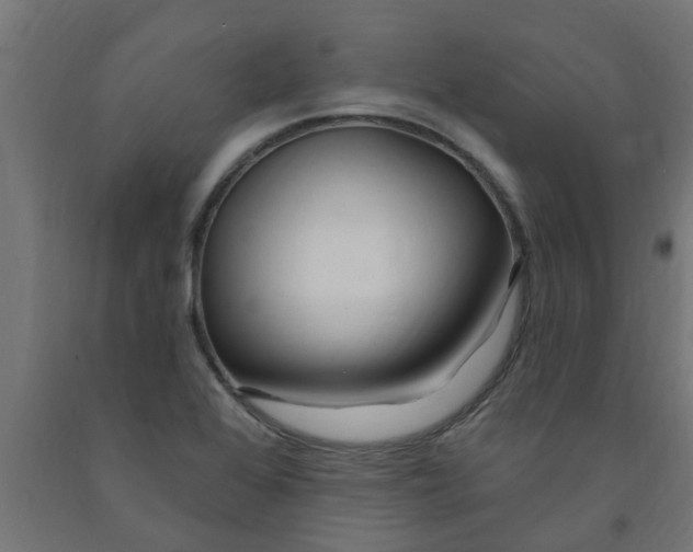 X0000090891368200708241952