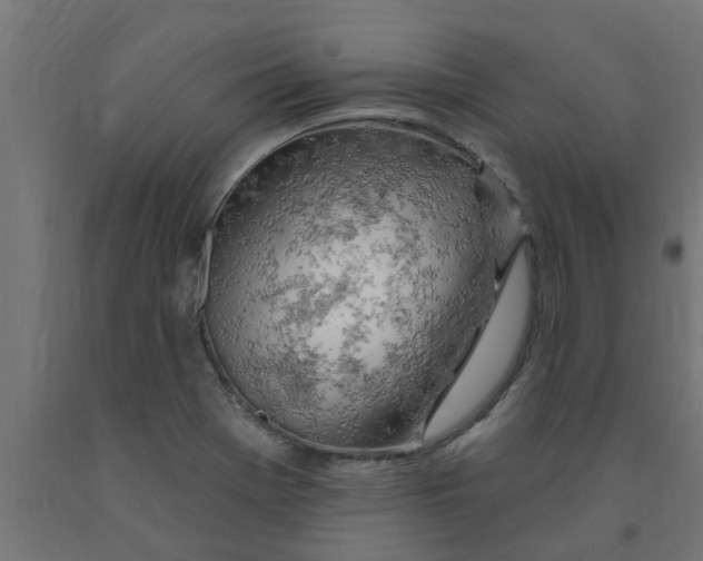 X0000090891369200708241952