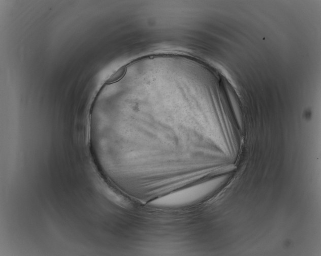 X0000090891371200708241952