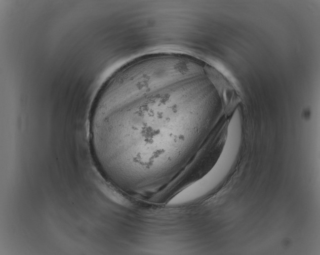 X0000090891372200708241952