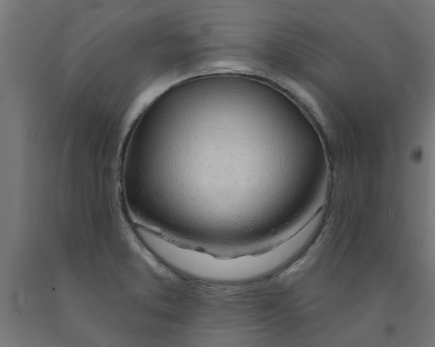 X0000090891373200708241952