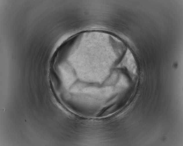 X0000090891374200708241952