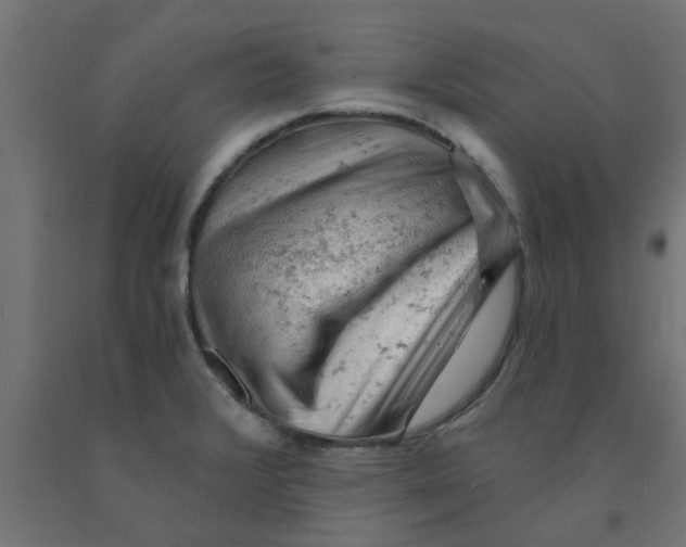 X0000090891376200708241952