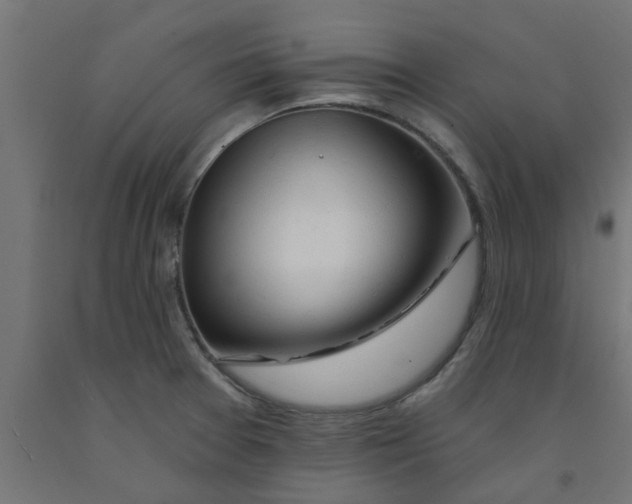 X0000090891377200708241952