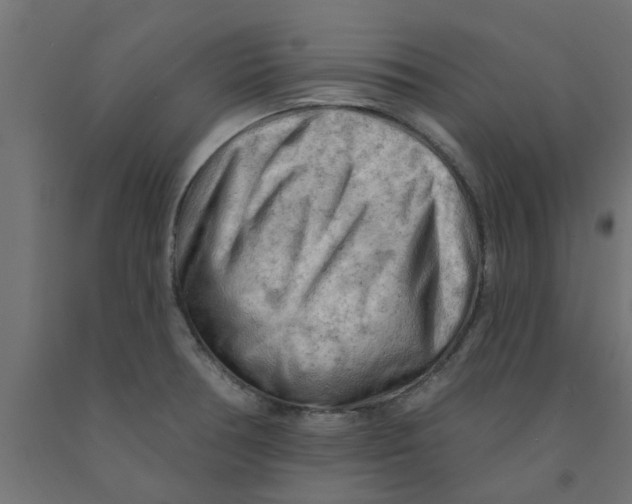 X0000090891378200708241952