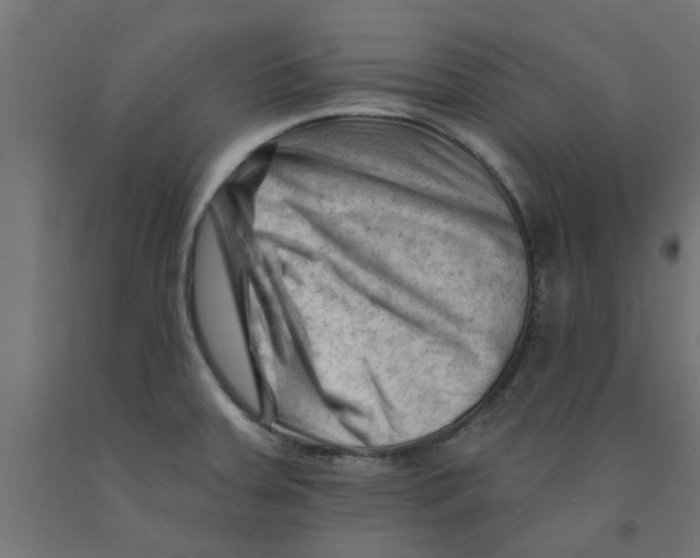 X0000090891379200708241952