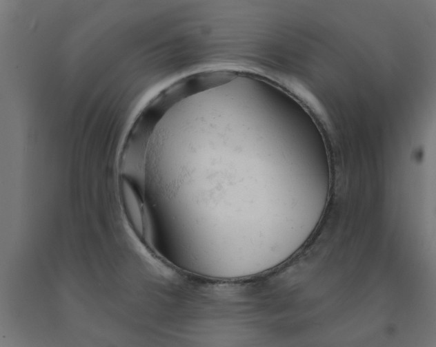 X0000090891380200708241952