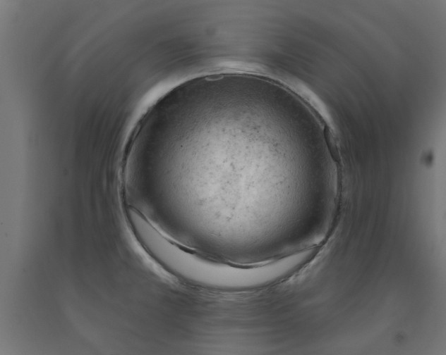 X0000090891381200708241952