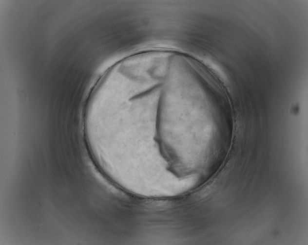 X0000090891382200708241952