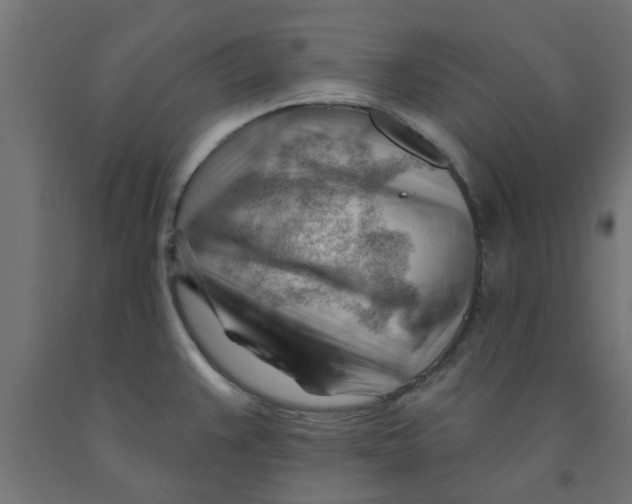 X0000090891383200708241952