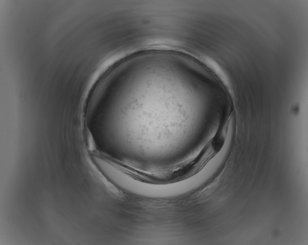 X0000090891384200708241952