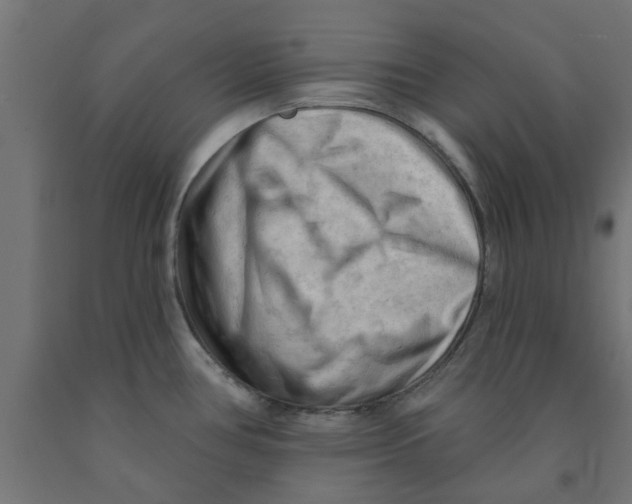 X0000090891386200708241952