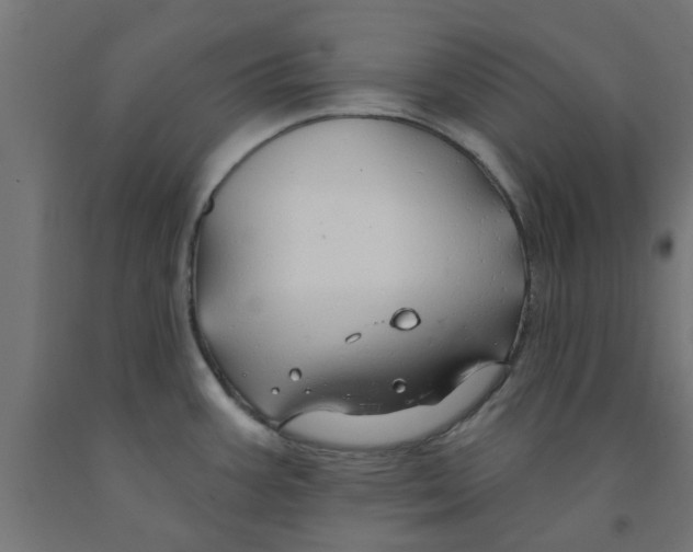 X0000090891387200708241952