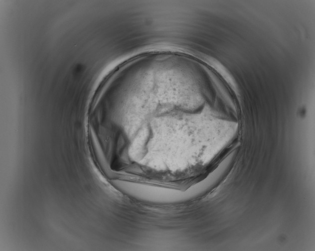 X0000090891388200708241952