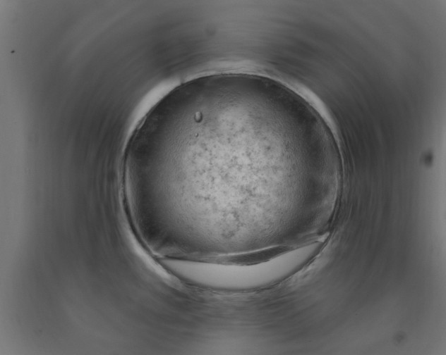 X0000090891389200708241952