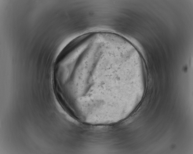 X0000090891390200708241952