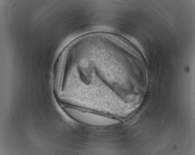 X0000090891391200708241952