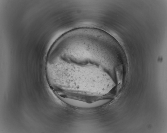 X0000090891392200708241952