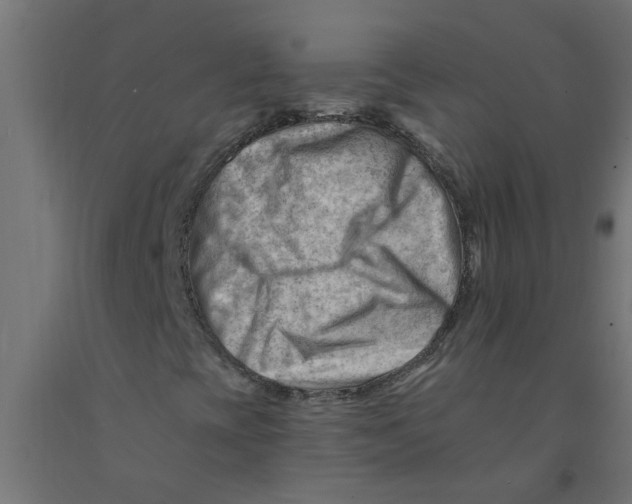 X0000090891393200708241951