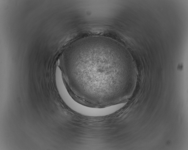 X0000090891394200708241951