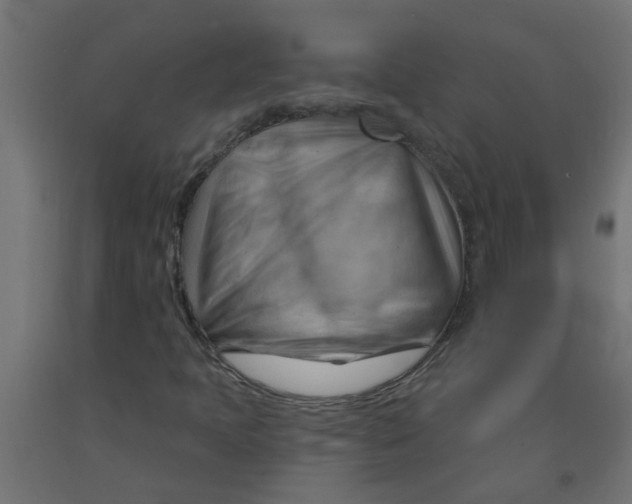 X0000090891397200708241952