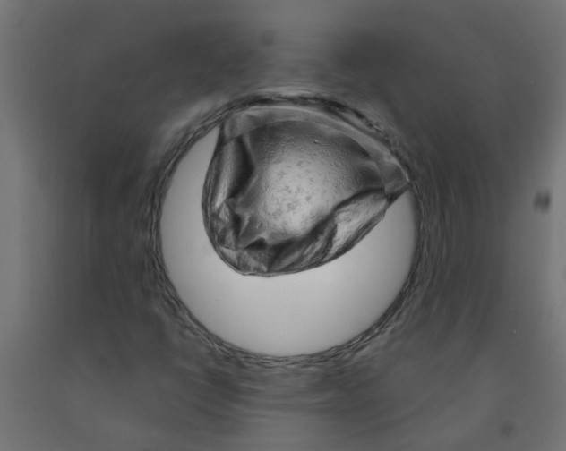 X0000090891398200708241952