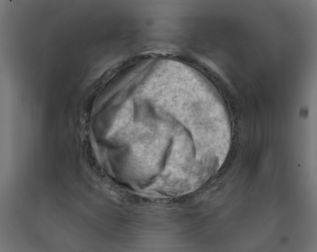 X0000090891399200708241952