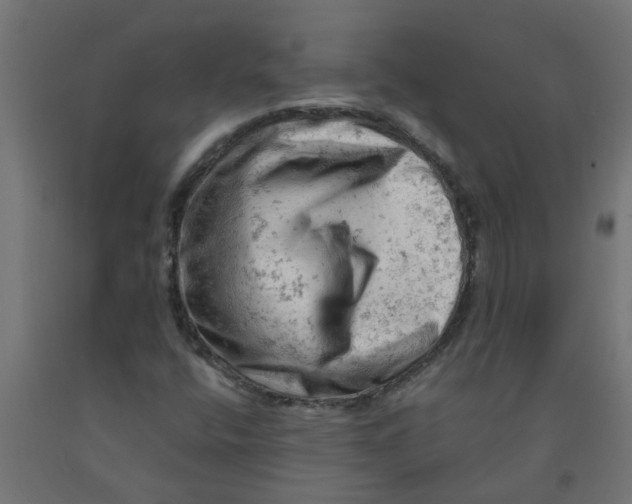 X0000090891400200708241952