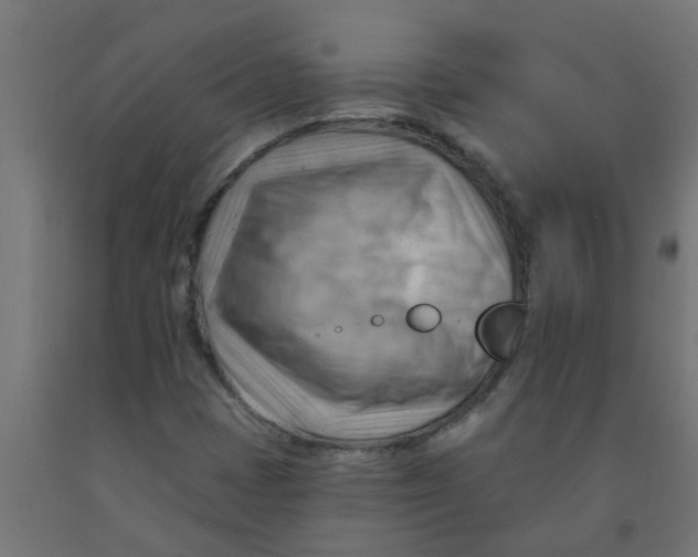 X0000090891401200708241952