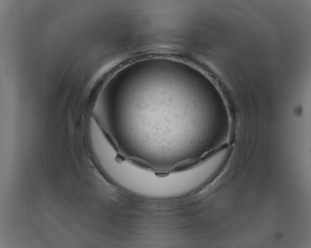 X0000090891402200708241952