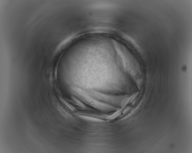 X0000090891403200708241952