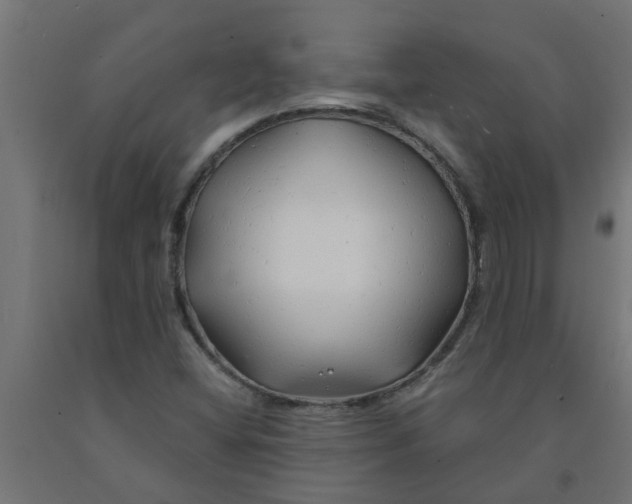 X0000090891404200708241952