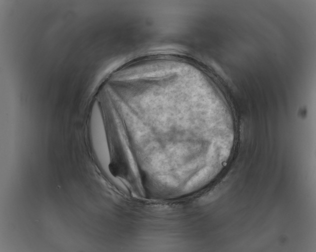 X0000090891405200708241952