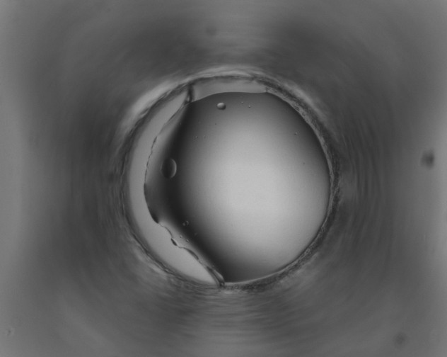 X0000090891406200708241952