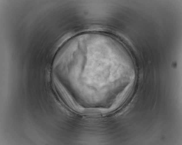 X0000090891409200708241952