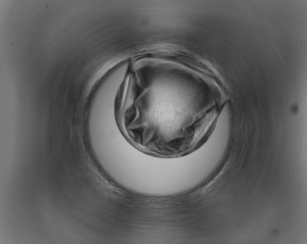 X0000090891410200708241952