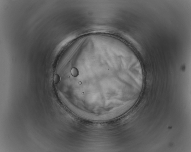 X0000090891411200708241952