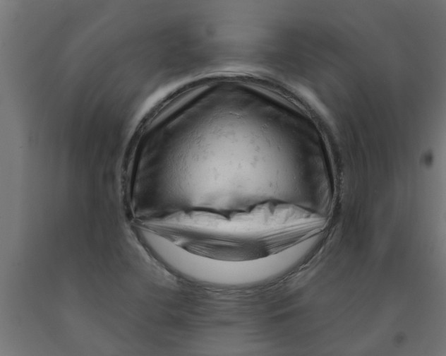 X0000090891412200708241952