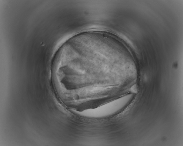 X0000090891413200708241952